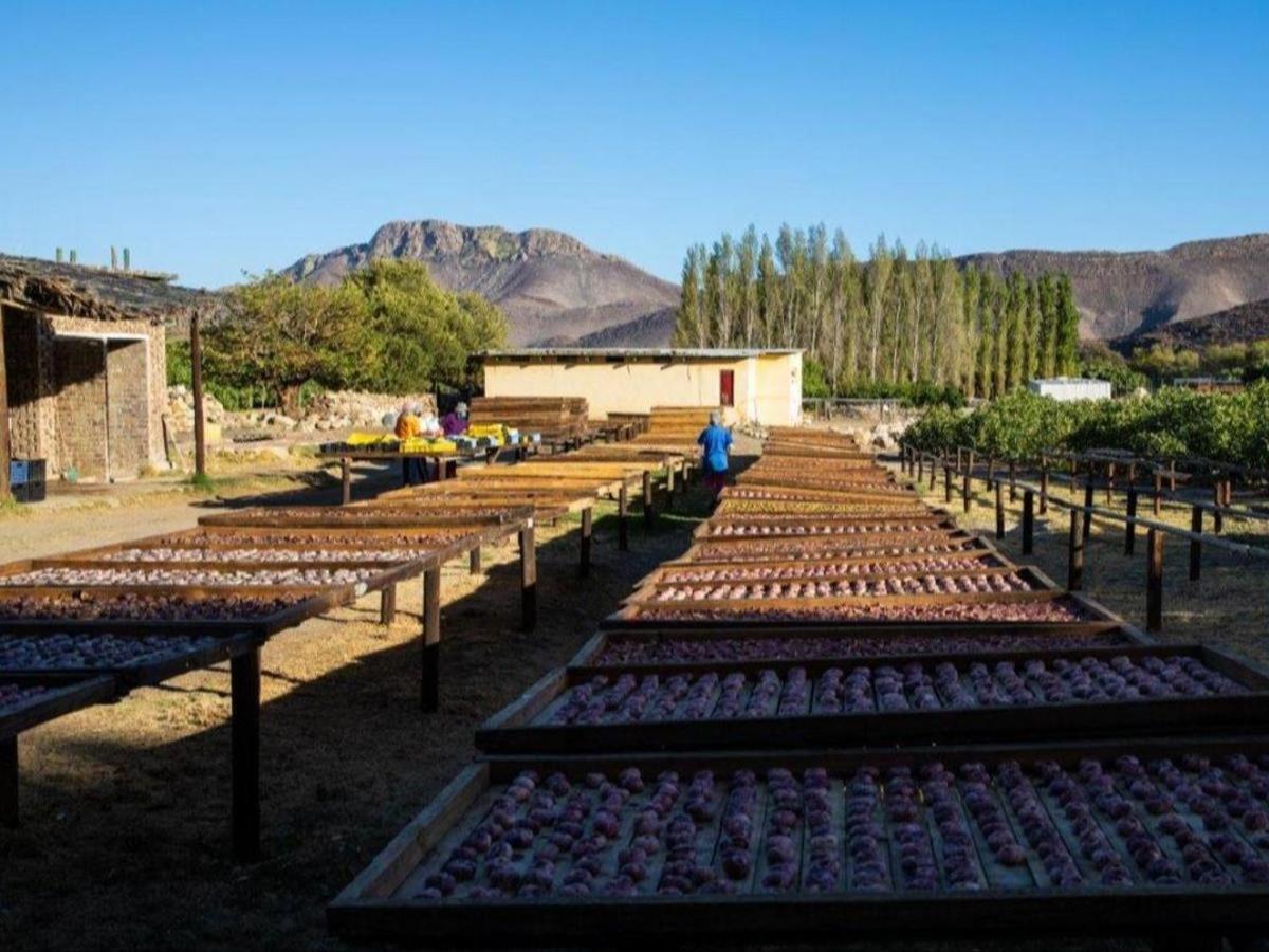 Appartamento Weltevrede Fig Farm Prince Albert Esterno foto