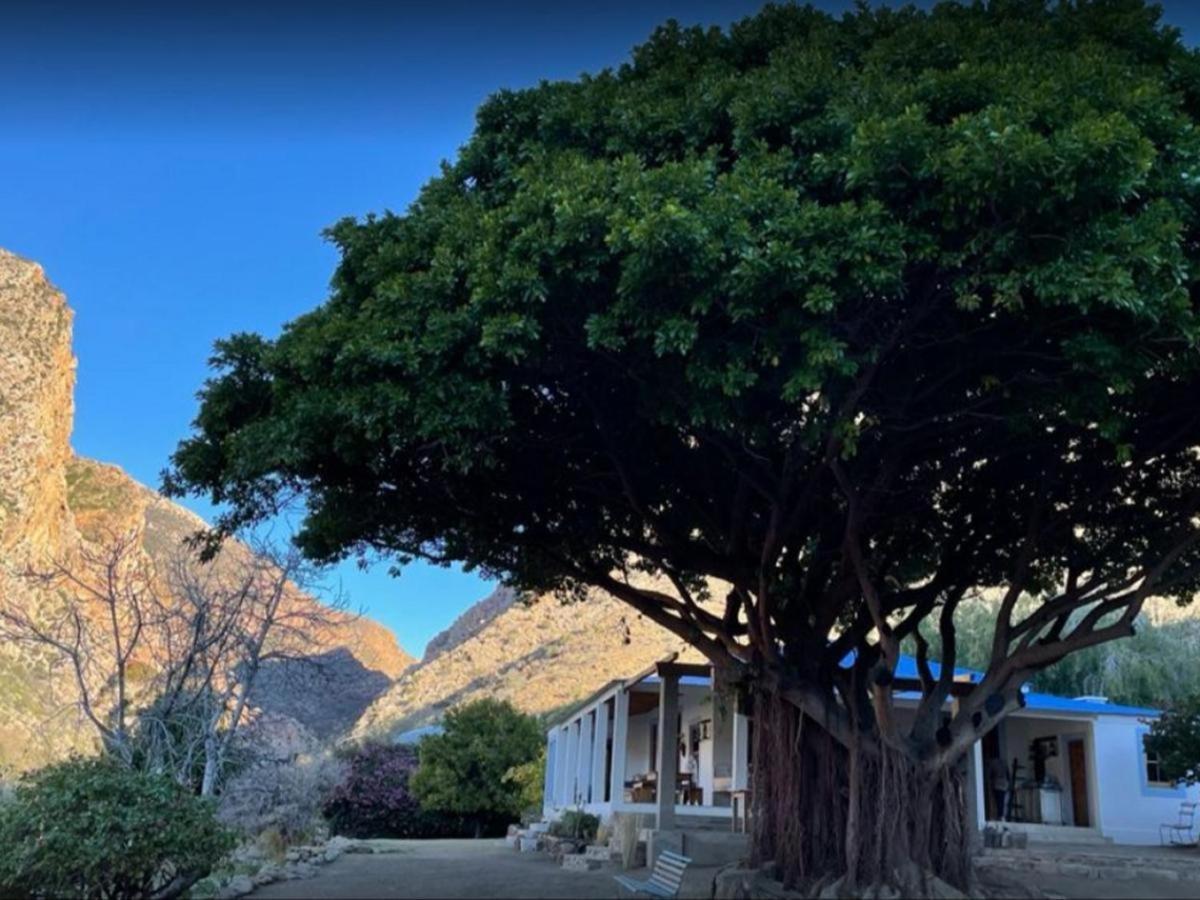Appartamento Weltevrede Fig Farm Prince Albert Esterno foto