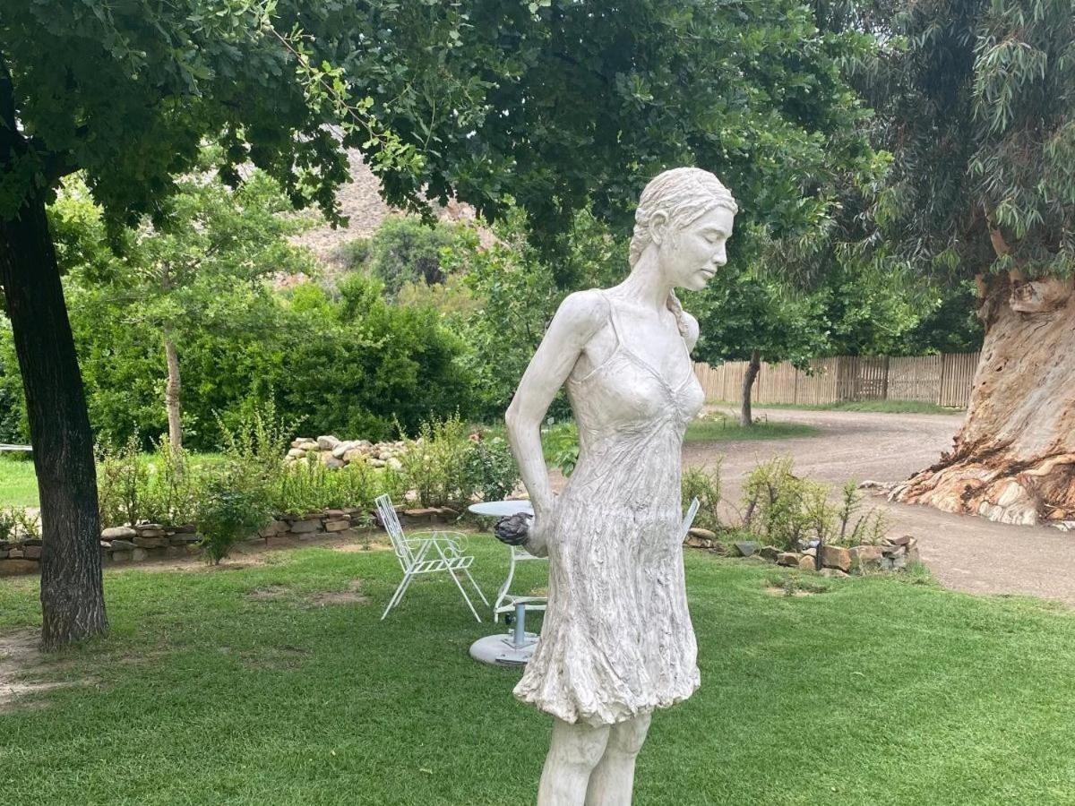 Appartamento Weltevrede Fig Farm Prince Albert Esterno foto